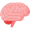 brain (1)